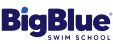 bigblue_logo